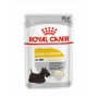 Royal Canin Dermacomfort Care Canine Care Nutrition mokra karma dla psa saszetka