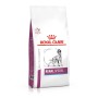 Royal Canin Dog Renal Special sucha karma dla psa poprawiająca funkcjonowanie nerek