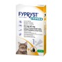 Fypryst Combo 50 mg/60 mg roztwór do nakrapiania dla kotów i fretek przeciw pchłom, kleszczom i wszołom.