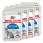Royal Canin Indoor Sterilized Morsels in Gravy Feline Health Nutrition mokra karma dla kota saszetka 12x85g