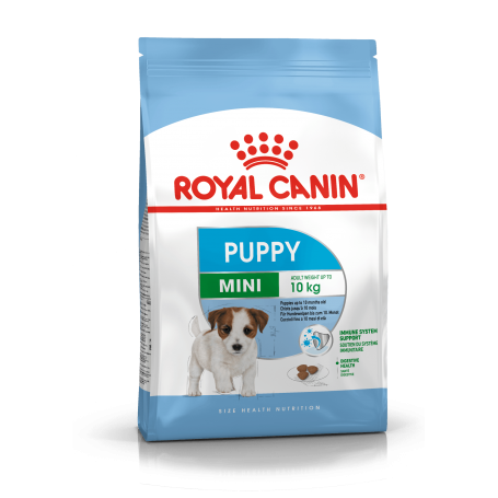 Royal Canin SHN Mini Puppy sucha karma dla szczeniąt małych ras