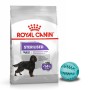 Royal Canin Dog Sterilised Maxi Canine Care Nutrition sucha karma dla psów sterylizowanych + GRATIS