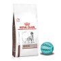 Royal Canin Veterinary Diet Dog Hepatic sucha karma dla psa ze schorzeniami wątroby + GRATIS