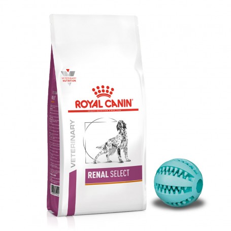Royal Canin Dog Renal Select sucha karma dla psa poprawiająca funkcjonowanie nerek + GRATIS!