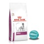 Royal Canin Dog Renal Veterinary Diet sucha karma dla psa poprawiająca funkcjonowanie nerek + GRATIS!