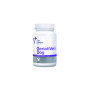 VetExpert GERIATIVET DOG LARGE BREED preparat dla starszych psów dużych ras