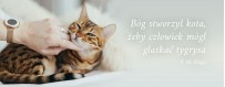Sucha karma dla kota | Sklep Najlepszy Przyjaciel